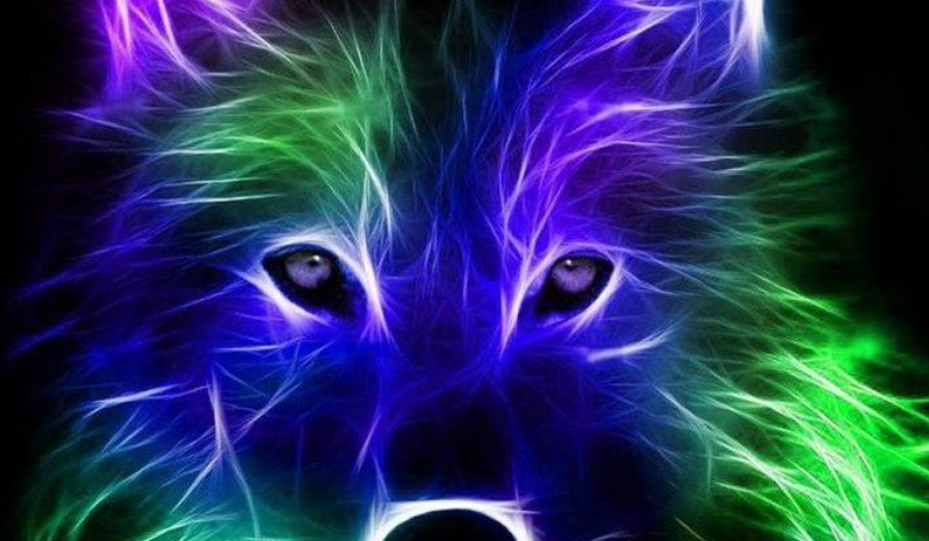 Posnetek zaslona 2025-11-25 080601