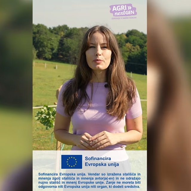 Posnetek zaslona 2026-06-30 115446